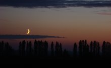 A quiet evening in the floodplain / ***