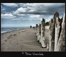 Curonian Spit / no comment