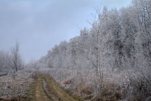 Whether the autumn, or winter / ************