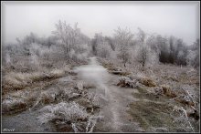 The road into the new year. / ***