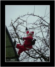 Happy New Year! / ***