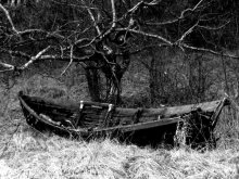 old boat / ***