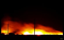 Gori Gori clear ...!!! / .....