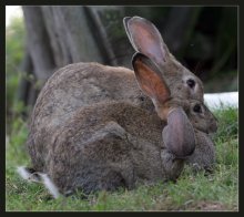 This is love ... / ***