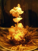 enigma / ***