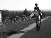 shadow with a horse))) / )))