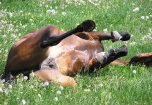 Random erotica / ***