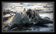 Snags are and such ... / ***