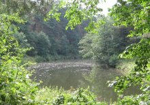 Window to nature / ***