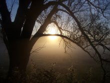 Morning on the abandoned fields / ***