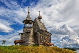 Horses in the chapel of St. Nicholas / ***