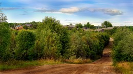 Vologda village ... / ***