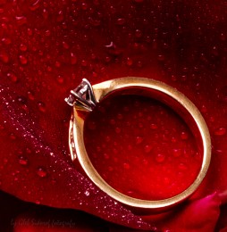 the ring / ***
