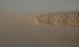 Morning on the lake Swan. / ***
