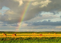 After the rain / ***