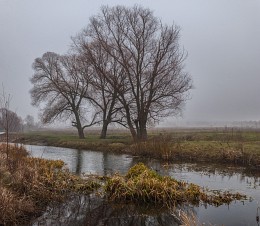 From the series "High fogs ..." / ...