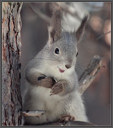 "The smile will warm everybody" / ---