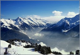 Alps. A view from a paraglider. / ***