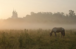 Summer fog Epiphany / ***