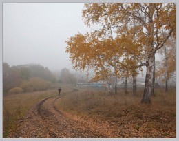 Autumn road / ***