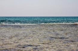 Calm, just calm / ***