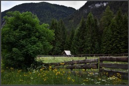 Cottage in the woods. / ***