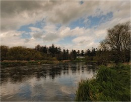 ... On the river, spring ... / ***