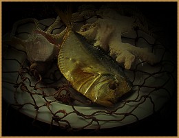 Still Life * Fish caught ** / ***