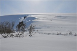 April in Taimyr / ***