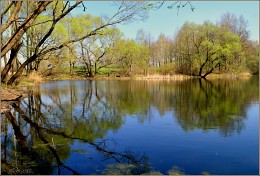 spring pond / ***