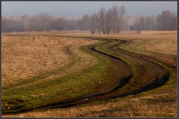 Spring road / ***