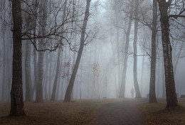 Through the fog ... / ***