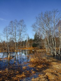 Mayday on earth Vologda ... / ***