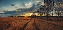 Leaving the sunset / ***