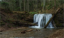 Spring waterfall in the forest / ***