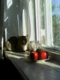 Random composition / ***
