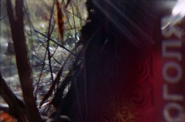 Spring Fever / _______