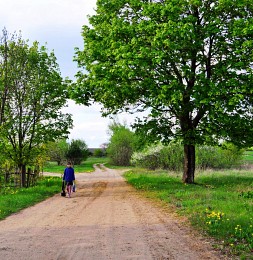 spring pictures / ***