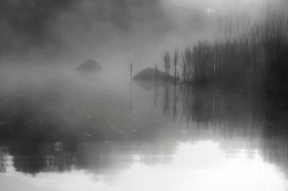 Lake fog. / ***