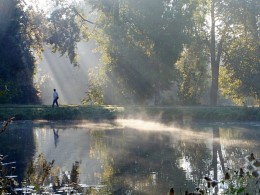 Morning Promenade / ***