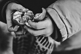 Life as it is .... / ***