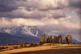 April with a view of the High Tatras / ***