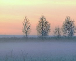 Frosty, sunset. / - 25