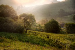 Morning / ***