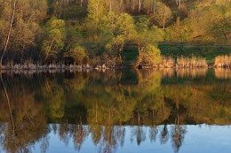 Silence / ***