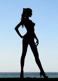 Silhouette model / ***