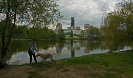 at Novodevichy pond / ***