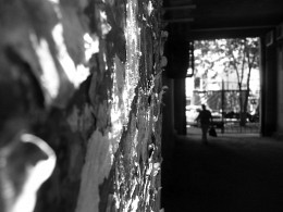 Untitled / ***