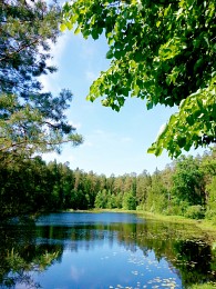 Lake in Nizhny Novgorod / ***