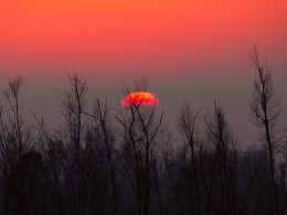 Sunset on the Amur / ***